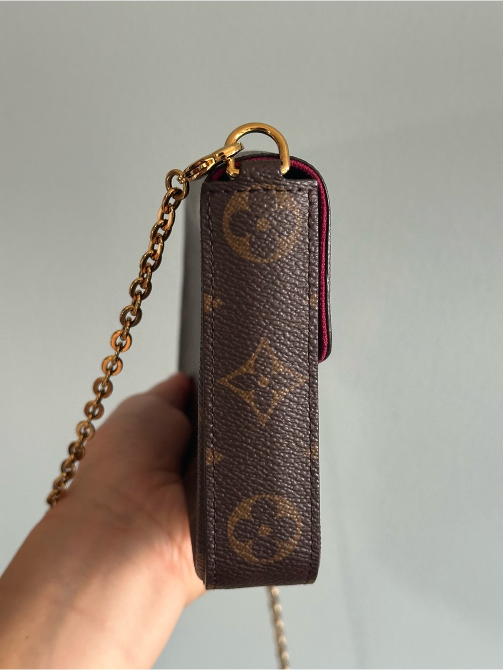 Louis Vuitton Monogram Pochette Félicie One Insert & dust bag - Picture 6 of 17